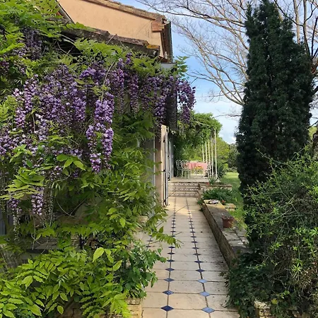 Mas Provencal